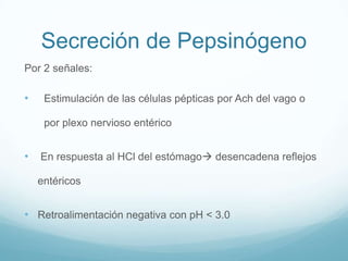 Su osmolaridadaumenta al aumentar el flujo