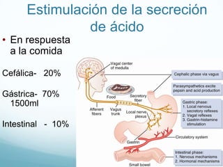 300 mOms/LHCO3SalivaPlasmaNa+140140Na+Cl-100100Concentration mE/LHCO36060Cl-2020K+K+3.01.02.04.0Flow ml/minCopyright © 2006 by Elsevier, Inc.