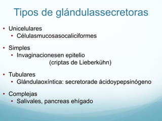 Tipos de glándulassecretorasUnicelulares