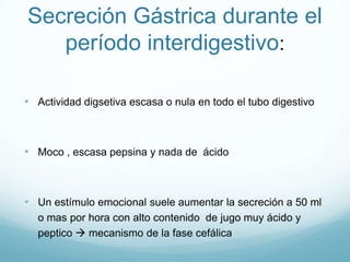 Solubilizaciónde comida seca