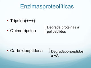 Bacterias se acumulan en la bocaLa saliva en la higiene oralLimpieza oral