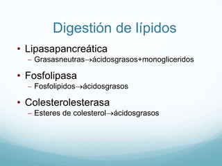 Destrucciónde bacterias