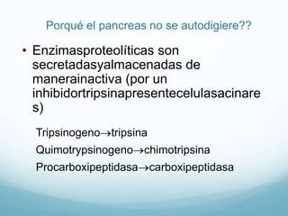 Iones de tiocinato – bactericida