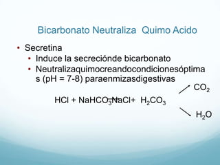 Anticuerpos – evitan la formaciónde cariesRegulaciónNerviosaExcita por estímulo gustativo/táctilde boca/lengua/faringePrincipalmente parasimpático