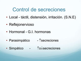 Célulasmucosasocaliciformes