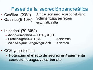 Participa olfacción