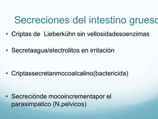 Regulaciónnerviosa del flujosalival  La estimulaciónsimpáticaaumentadirectamente la salivación