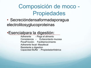 Invaginacionesen epitelio				(criptas de Lieberkühn)Tubulares