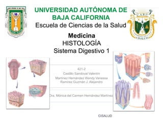 UNIVERSIDAD AUTÓNOMA DE
BAJA CALIFORNIA
Escuela de Ciencias de la Salud
Medicina
HISTOLOGÍA
Sistema Digestivo 1
421-2
Castillo Sandoval Valentín
Martínez Hernández Wendy Vanessa
Ramírez Guzmán J. Alejandro
Dra. Mónica del Carmen Hernández Martínez.
CISALUD
 