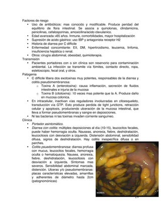   29	
  
Factores de riesgo
• Uso de antibióticos: mas conocido y modificable. Produce peridad del
equilibrio de flora intestinal. Se asocia a quinolonas, clindamicina,
penicilinas, cefalosporinas, amoxicilina/acido clavulanico.
• Edad avanzada >65 años. Inmune, comorbilidades, mayor hospitalización
• Supresión de acido gástrico: uso IBP y antagonista receptor H2
• Historia de diarrea por C difficile
• Enfermedad concomitante: EII, DM, hipertiroidismo, leucemia, linfoma,
insuficiencia hepática o renal.
• Otros: cirugía abdominal, obesidad, quimioterapia.
Transmisión
• Pacientes portadores con o sin clínica son reservorio para contaminación
ambiental. La infección se transmite vía fómites, contacto directo, ropa,
estetoscopio, fecal oral, y otros.
Patogenia
• C difficile libera dos exotoxinas muy potentes, responsables de la diarrea y
colitis pseudomembranosa:
o Toxina A (enterotoxina): causa inflamación, secreción de fluidos
intestinales e injuria de la mucosa
o Toxina B (citotoxina): 10 veces mas potente que la A. Produce daño
en mucosa colonica.
• En intracelular, inactivan vías reguladores involucradas en citoesqueleto,
transducción vía GTP. Esto produce perdida de tight junctions, retracción
celular y apoptosis, produciendo ulceración de la mucosa intestinal, que
lleva a formar pseudomembranas y sangre en deposiciones.
• Ni las bacterias ni las toxinas invaden corriente sanguíneo.
Clínica
• Portador asintomático.
• Diarrea con colitis: múltiples deposiciones al día (10-15), leucocitos fecales,
puede haber hemorragia oculta. Nauseas, anorexia, fiebre, deshidratación,
leucocitosis con desviación a izquierda. Distensión abdominal, sensibilidad
difusa, signos de deshidratación. Hay colitis inespecífica difusa o en
parches.
• Colitis psuedomembranosa: diarrea profusa
con mucus, leucocitos fecales, hemorragia
oculta o hematoquezia. Nausea, anorexia,
fiebre, deshidratación, leucocitosis con
desviación a izquierda. Síntomas mas
severos. Sensibilidad abdominal marcada,
distención. Ulceras y/o pseudomembranas:
placas características elevadas, amarrillas
y adherentes de diámetro hasta 2cm
(patognomónicas)
 