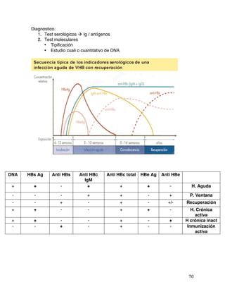  70	
  
Diagnostico:
1. Test serológicos à Ig / antígenos
2. Test moleculares
• Tipificación
• Estudio cuali o cuantitativo de DNA
DNA HBs Ag Anti HBs Anti HBc
IgM
Anti HBc total HBe Ag Anti HBe
+ + - + + + - H. Aguda
- - - + + - + P. Ventana
- - + - + - +/- Recuperación
+ + - - + + - H. Crónica
activa
+ + - - + - + H crónica inact
- - + - + - - Inmunización
activa
 
