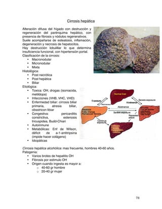   78	
  
Cirrosis hepática
Alteración difusa del hígado con destrucción y
regeneración del parénquima hepático, con
presencia de fibrosis y nódulos regenerativos.
Suele acompañarse de esteatosis, inflamación,
degeneración y necrosis de hepatocitos.
Hay destrucción lobulillar lo que determina
insuficiencia funcional, con hipertensión portal.
Clasificación de la cirrosis:
• Macronodular
• Micronodular
• Mixta
Histológica:
• Post necrótica
• Post hepática
• Biliar
Etiológica:
• Toxica: OH, drogas (isoniacida,
metildopa)
• Infecciones (VHB, VHC, VHD)
• Enfermedad biliar: cirrosis biliar
primaria, atresia biliar,
obsstricon libiar
• Congestiva: pericarditis
constrictiva, estenosis
tricuspidea, Budd-Chiari
• Autoinmune
• Metabólicas: Enf de Wilson,
déficit de a-1-antitripsina
(impide hacer colágeno)
• Idiopáticas
Cirrosis hepática alcohólica: mas frecuente, hombres 40-60 años.
Patogenia:
• Varios brotes de hepatitis OH
• Fibrosis por estimulo OH
• Origen cuando ingesta es mayor a:
o 40-60 gr hombre
o 20-40 gr mujer
 