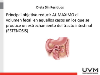 Dieta Sin Residuos
Principal objetivo reducir AL MAXIMO el
volumen fecal en aquellos casos en los que se
produce un estrechamiento del tracto intestinal
(ESTENOSIS)
 