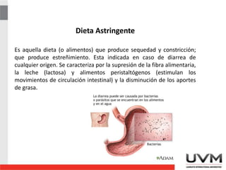 Dieta Astringente
Es aquella dieta (o alimentos) que produce sequedad y constricción;
que produce estreñimiento. Esta indicada en caso de diarrea de
cualquier origen. Se caracteriza por la supresión de la fibra alimentaria,
la leche (lactosa) y alimentos peristaltógenos (estimulan los
movimientos de circulación intestinal) y la disminución de los aportes
de grasa.
 