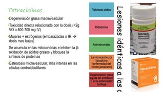 Hepatotoxicidad por fármacos Slide 20