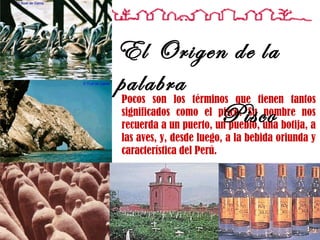 Pocos son los términos que tienen tantos significados como el pisco. Su nombre nos recuerda a un puerto, un pueblo, una botija, a las aves, y, desde luego, a la bebida oriunda y característica del Perú. El Origen de la palabra Pisco 