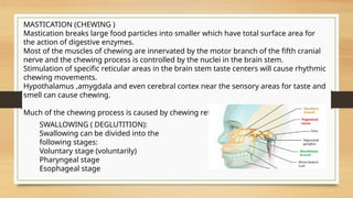 Mastication Process Gastrointestinal presentation pdf ( GIT) | PPTX