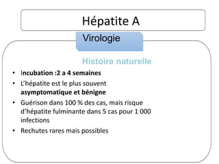 Hépatite A
• Incubation :2 a 4 semaines
• L’hépatite est le plus souvent
asymptomatique et bénigne
• Guérison dans 100 % des cas, mais risque
d’hépatite fulminante dans 5 cas pour 1 000
infections
• Rechutes rares mais possibles
Histoire naturelle
Virologie
 