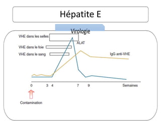 pathogénie
Hépatite E
 