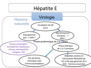 Hépatite E
Virologie
Histoire
naturelle Incubation de 40
jours
Manifestations
cliniques : <
50% ?
Asymptomati
que : > 50% ?
Phase ictérique
de 1 à 2 semaines
Hépatites sévères et
fulminantes Mortalité de
0,5 à 4% pop générale 10 à
42% femmes enceintes
Pas de forme
chronique chez
l’immunocompétent
Phase prodromique de 3 à 7 jours
Formes prolongées:
transplantés hépatiques,
rénaux, hémopathies
malignes, VIH
 