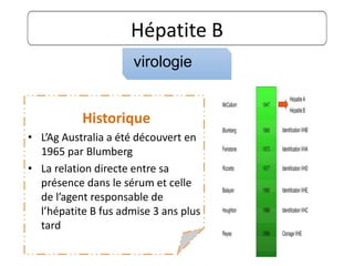 Hépatite B
Historique
• L’Ag Australia a été découvert en
1965 par Blumberg
• La relation directe entre sa
présence dans le sérum et celle
de l’agent responsable de
l’hépatite B fus admise 3 ans plus
tard
virologie
 