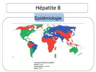 Hépatite B
Virologie Prévalence AgHBs :
élévée > 8 %
intermédiaire > 2–7 %
faible > 2 %
Epidémiologie
 
