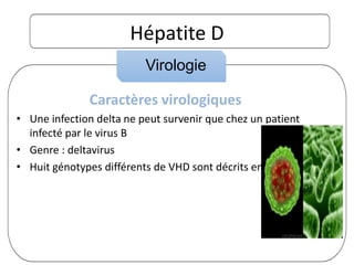 Hépatite D
Caractères virologiques
• Une infection delta ne peut survenir que chez un patient
infecté par le virus B
• Genre : deltavirus
• Huit génotypes différents de VHD sont décrits en 2005
Virologie
 