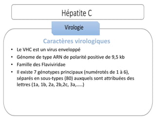 Caractères virologiques
• Le VHC est un virus enveloppé
• Génome de type ARN de polarité positive de 9,5 kb
• Famille des Flaviviridae
• Il existe 7 génotypes principaux (numérotés de 1 à 6),
séparés en sous-types (80) auxquels sont attribuées des
lettres (1a, 1b, 2a, 2b,2c, 3a,…..)
 