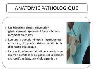 ANATOMIE PATHOLOGIQUE
o Les hépatites aiguës, d’évolution
généralement rapidement favorable, sont
rarement biopsiées
o Lorsque la ponction-biopsie hépatique est
effectuée, elle peut contribuer à orienter le
diagnostic étiologique
o La ponction-biopsie hépatique constitue un
examen-clef dans le diagnostic et la prise en
charge d’une hépatite virale chronique
 