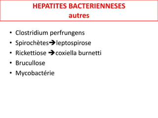 HEPATITES BACTERIENNESES
autres
• Clostridium perfrungens
• Spirochètesleptospirose
• Rickettiose coxiella burnetti
• Brucullose
• Mycobactérie
 