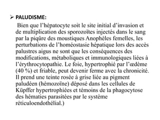  PALUDISME:
Bien que l’hépatocyte soit le site initial d’invasion et
de multiplication des sporozoïtes injectés dans le sang
par la piqûre des moustiques Anophèles femelles, les
perturbations de l’homéostasie hépatique lors des accès
palustres aigus ne sont que les conséquences des
modifications, métaboliques et immunologiques liées à
l’érythrocytopathie. Le foie, hypertrophié par l’œdème
(40 %) et friable, peut devenir ferme avec la chronicité.
Il prend une teinte rosée à grise liée au pigment
paludéen (hémozoïne) déposé dans les cellules de
Küpffer hypertrophiées et témoins de la phagocytose
des hématies parasitées par le système
réticuloendothélial.)
 