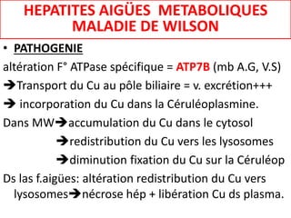 • PATHOGENIE
altération F° ATPase spécifique = ATP7B (mb A.G, V.S)
Transport du Cu au pôle biliaire = v. excrétion+++
 incorporation du Cu dans la Céruléoplasmine.
Dans MWaccumulation du Cu dans le cytosol
redistribution du Cu vers les lysosomes
diminution fixation du Cu sur la Céruléop
Ds las f.aigües: altération redistribution du Cu vers
lysosomesnécrose hép + libération Cu ds plasma.
HEPATITES AIGÜES METABOLIQUES
MALADIE DE WILSON
 