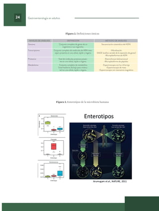 Gastroenterología en adultos
24
Figura 2. Definiciones ómicas
NIVELES DE ANÁLISIS DEFINICIÓN MÉTODO DE ANÁLISIS
Genoma Conjunto completo de genes de un
organismo o sus organelas.
Secuenciación sistemática del ADN
Transcriptoma Conjunto completo de moléculas de ARN men-
sajero presente en una célula, tejido u órgano.
-Hibridización
-SAGE (análisis seriado de la expresión de genes)
-Microplataformas de ADN
Proteoma Total de moléculas proteicas presen-
tes en una célula, tejido u órgano.
-Electroforesis bidimensional
-Microplataforma de péptidos
Metaboloma Conjunto completo de metabolitos
(intermediarios de bajo peso molecu-
lar) en una célula, tejido u órgano.
-Espectroscopia con luz infrarroja
-Espectroscopia de masa
-Espectroscopia con resonancia magnética
Figura 3. Enterotipos de la microbiota humana
 