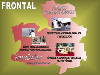 VIAJES  ORGANIZADOS Visita los lugares más  emblemáticos de la mancha. Aprende a elaborar y degustar platos típicos. Disfruta de nuestros paisajes y vegetación. GastroEnoTour www.gastroenotour.es FRONTAL 