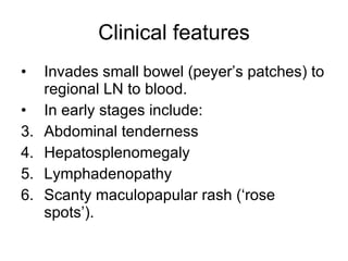 Clinical features Invades small bowel (peyer’s patches) to regional LN to blood. In early stages include: Abdominal tenderness Hepatosplenomegaly Lymphadenopathy Scanty maculopapular rash (‘rose spots’). 