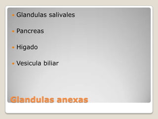 

Glandulas salivales



Pancreas



Higado



Vesicula biliar

Glandulas anexas

 