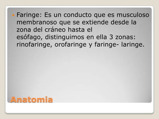 

Faringe: Es un conducto que es musculoso
membranoso que se extiende desde la
zona del cráneo hasta el
esófago, distinguimos en ella 3 zonas:
rinofaringe, orofaringe y faringe- laringe.

Anatomia

 