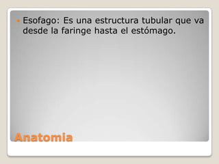 

Esofago: Es una estructura tubular que va
desde la faringe hasta el estómago.

Anatomia

 