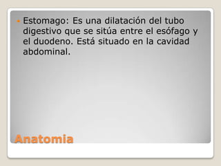 

Estomago: Es una dilatación del tubo
digestivo que se sitúa entre el esófago y
el duodeno. Está situado en la cavidad
abdominal.

Anatomia

 