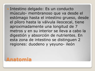 

Intestino delgado: Es un conducto
músculo- membranoso que va desde el
estómago hasta el intestino grueso, desde
el píloro hasta la válvula ileocecal, tiene
aproximadamente una longitud de 7
metros y en su interior se lleva a cabo la
digestión y absorción de nutrientes. En
esta zona de intestino se distinguen 2
regiones: duodeno y yeyuno- ileón

Anatomia

 