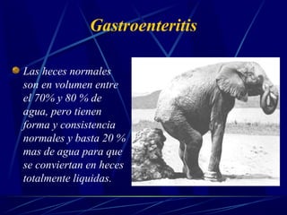 Gastroenteritis
Las heces normales
son en volumen entre
el 70% y 80 % de
agua, pero tienen
forma y consistencia
normales y basta 20 %
mas de agua para que
se conviertan en heces
totalmente liquidas.
 