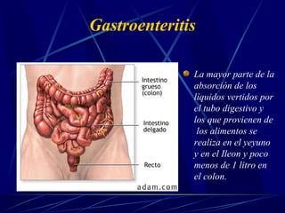 Gastroenteritis
La mayor parte de la
absorción de los
líquidos vertidos por
el tubo digestivo y
los que provienen de
los alimentos se
realiza en el yeyuno
y en el Ileon y poco
menos de 1 litro en
el colon.
 