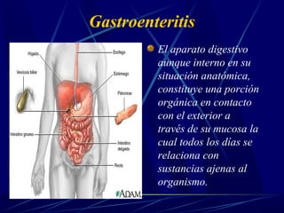 Gastroenteritis
El aparato digestivo
aunque interno en su
situación anatómica,
constituye una porción
orgánica en contacto
con el exterior a
través de su mucosa la
cual todos los días se
relaciona con
sustancias ajenas al
organismo.
 