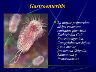 Gastroenteritis
La mayor proporción
de los casos son
causados por virus,
Escherichia Coli
Enterotoxigenica,
Campylobacter Jejuni
y con menor
frecuencia Shigella,
Salmonella y
Protozooarios
 