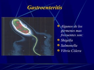 Gastroenteritis
Algunos de los
gérmenes mas
frecuentes son:
Shigella
Salmonella
Vibrio Cólera
 