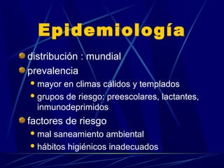 Epidemiología
distribución : mundial
prevalencia
mayor en climas cálidos y templados
grupos de riesgo: preescolares, lactantes,
inmunodeprimidos
factores de riesgo
mal saneamiento ambiental
hábitos higiénicos inadecuados
 
