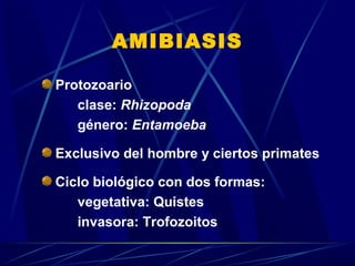 AMIBIASIS
Protozoario
clase: Rhizopoda
género: Entamoeba
Exclusivo del hombre y ciertos primates
Ciclo biológico con dos formas:
vegetativa: Quistes
invasora: Trofozoitos
 