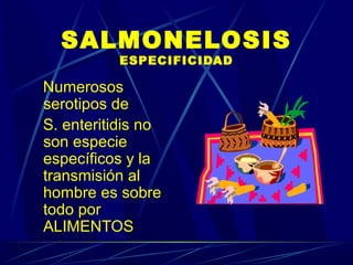SALMONELOSIS
ESPECIFICIDAD
Numerosos
serotipos de
S. enteritidis no
son especie
específicos y la
transmisión al
hombre es sobre
todo por
ALIMENTOS
 