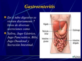 Gastroenteritis
En el tubo digestivo se
vierten diariamente 7
litros de diversas
secreciones como
Saliva, Jugo Gástrico,
Jugo Pancreático, Bilis,
Jugo Duodenal y
Secreción Intestinal.
 