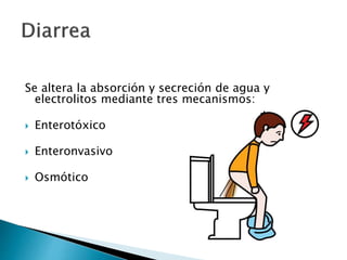 Se altera la absorción y secreción de agua y
electrolitos mediante tres mecanismos:
 Enterotóxico
 Enteronvasivo
 Osmótico
 